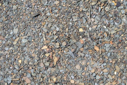 Wallpaper Mural Pebbles can be seen through the clear water of the mountain river. Beautiful background or texture. Light blur due to water Torontodigital.ca