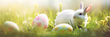 Easter bunny ears with easter eggs on meadow with flowers panorama, background