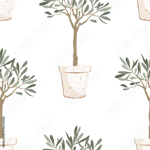 Beautiful young potted olive tree seamless pattern. Vector illustration. Mediterranean background.
