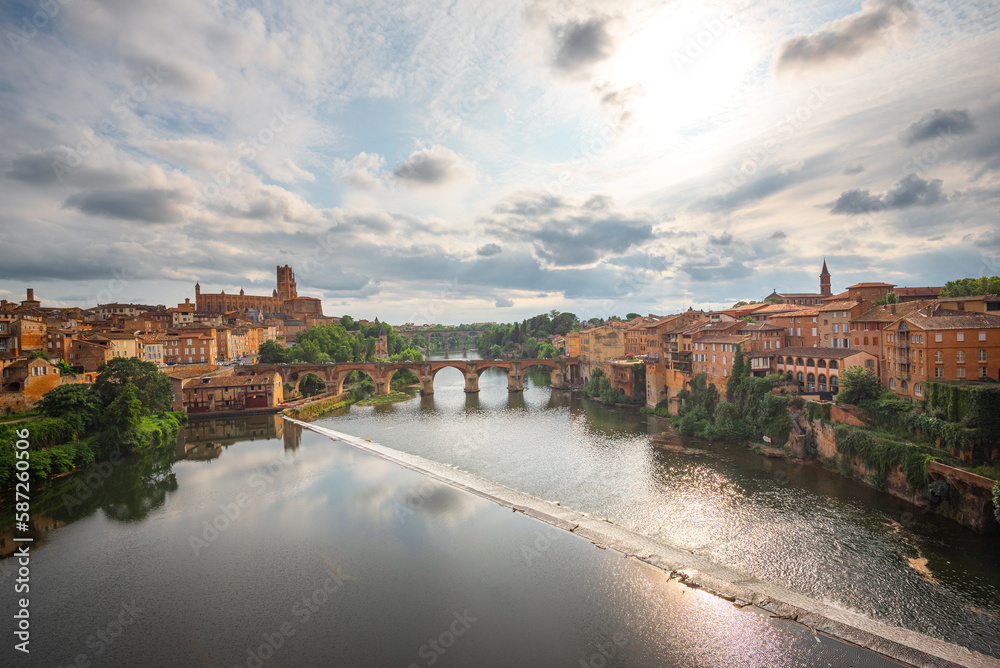 Albi featuring the cathedral and the old bridge