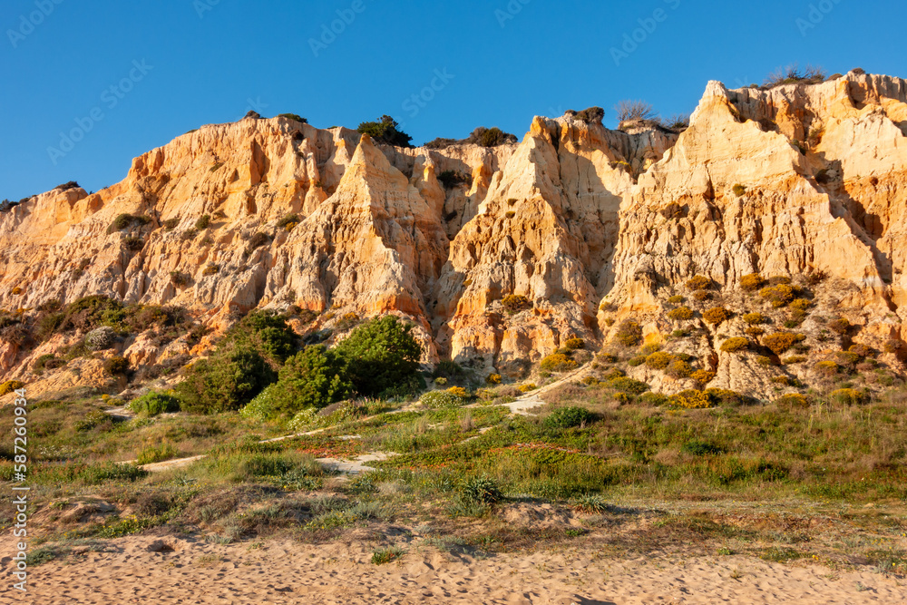 Fototapeta premium fossil dunes of Mazagon beach, Huelva, Spain