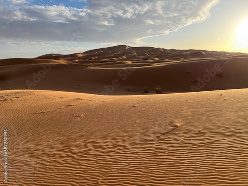 Dunes in the Sahara desert  Merzouga desert  grains of sand forming small waves on the dunes  panoramic view. Setting sun. Morocco 