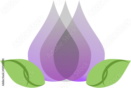 garlic purple vector art design illustration