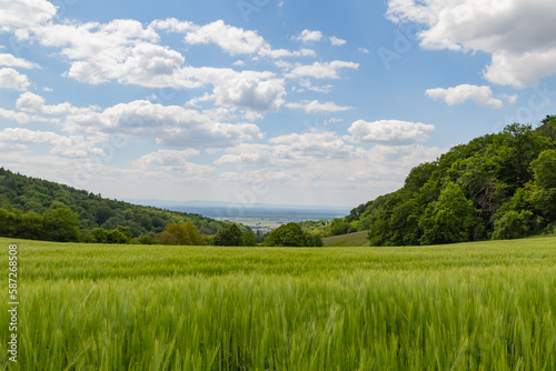 beautiful landscape in summer with fields and meadows in Odenwald in Germany © electricmango