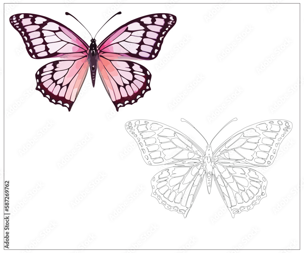 Obraz premium collection of colorful butterflies. Vector art for coloring book page for kids. They will love it.