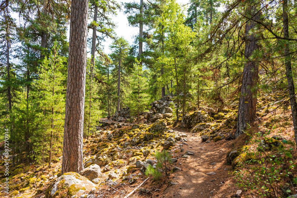 Fototapeta premium Wandern in den Bergen von Korsika