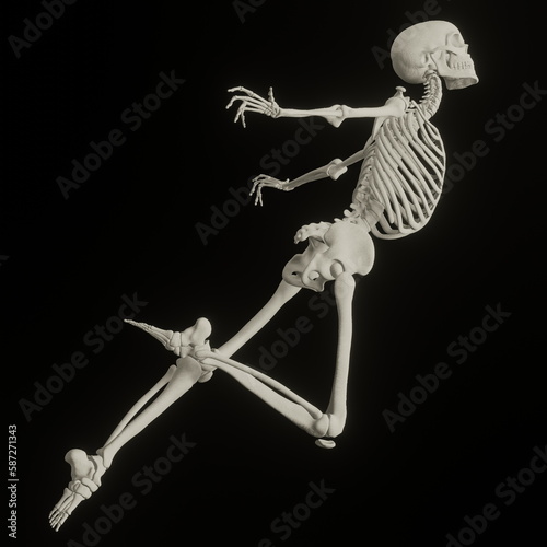 skeleton posing 3d render illustration with transparent background