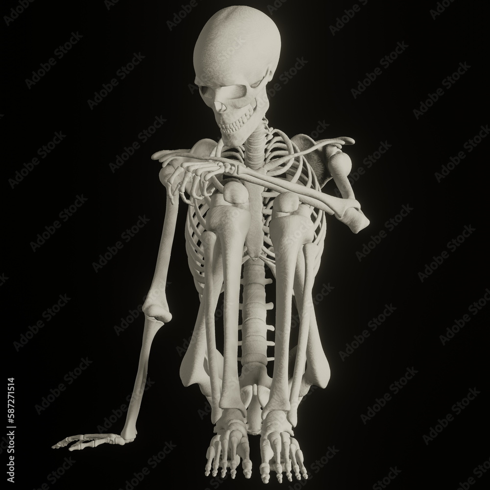 skeleton posing 3d render illustration with transparent background skeleton posing 3d render illustration with transparent background