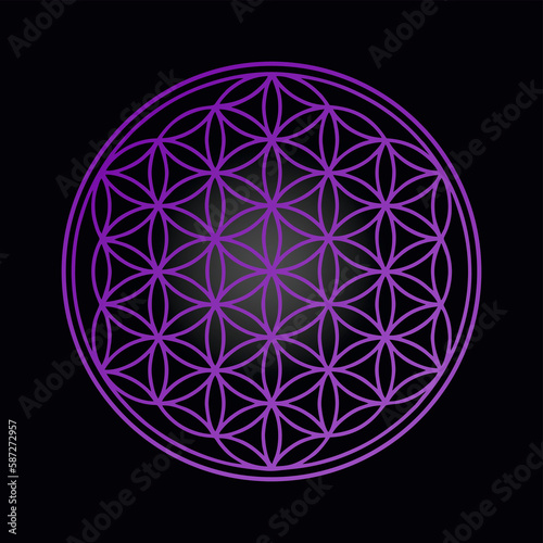 purple flower of life chakra on black background universe