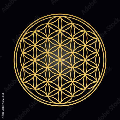 gold flower of life chakra on black background universe