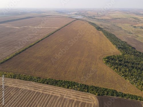 summer harwesting corn farm field ukraine 2022