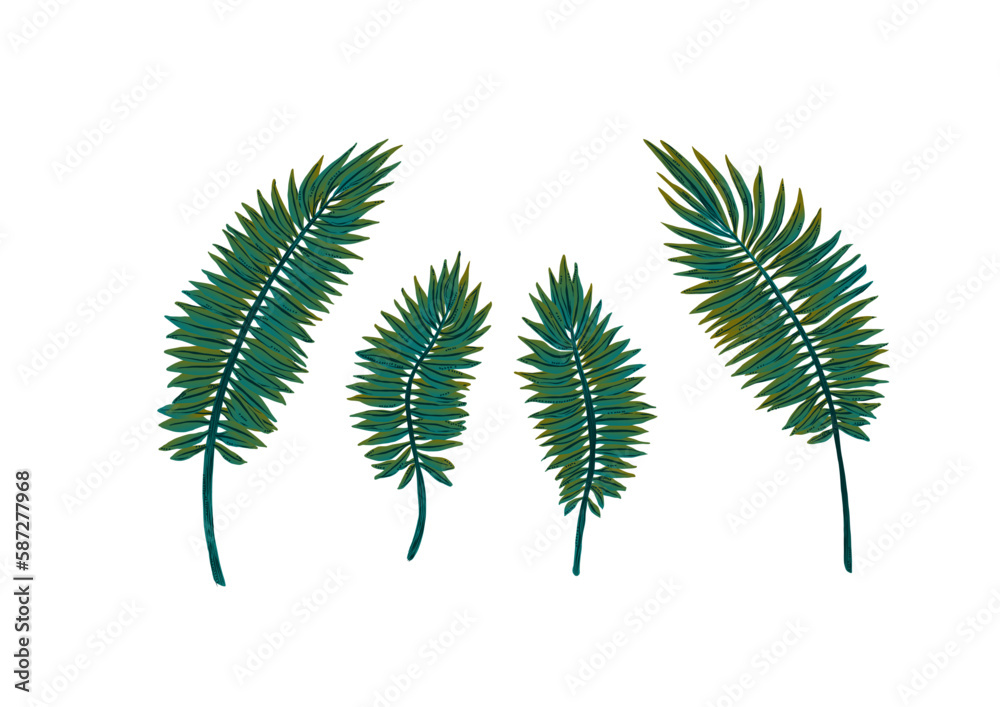 Set de hojas exóticas. Helechos. Ilustración vectorial recurso para diseño publicitario, vacaciones de verano paraíso tropical, banner, póster Set de hojas exóticas. Helechos. Ilustración vectorial recurso para diseño publicitario, vacaciones de verano paraíso tropical, banner, póster
