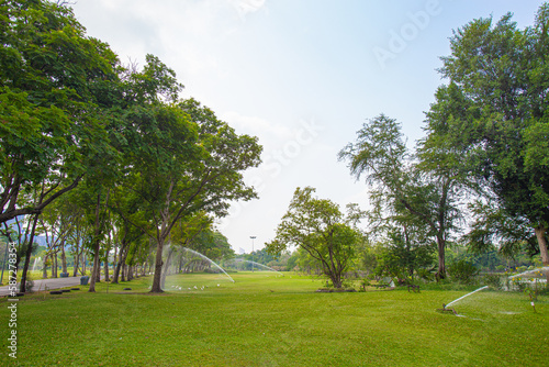 A large lawn surrounded by mature trees provides shade in the park