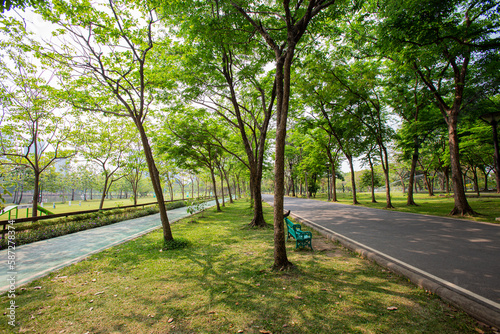 Beautiful walking paths surrounded by trees provide shade in the park