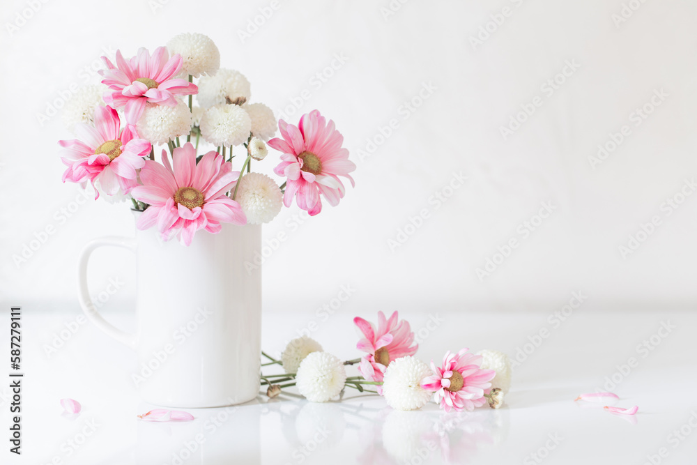 white and pink  chrysanthemums in vintage cup on white background