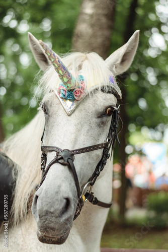 A white horse in a fabulous unicorn costume  close-up.