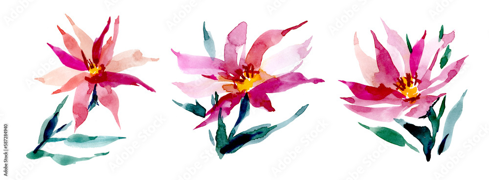 Watercolor abstract set of rosebuds. A set of pink flowers on a white background. Lily flowers for design, invitations, postcards. Summer, spring botanical set of illustrations