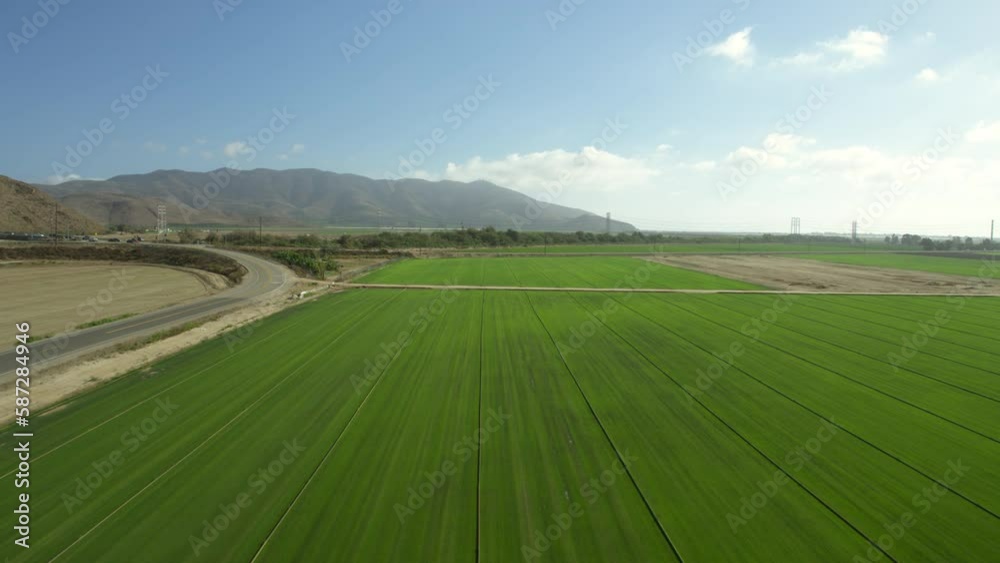 Aerial Shot Of Horizon Of Green Agricultural Fields By Mountains, Drone Flying Forward During Sunny Day - Camarillo, California Aerial Shot Of Horizon Of Green Agricultural Fields By Mountains, Drone Flying Forward During Sunny Day - Camarillo, California