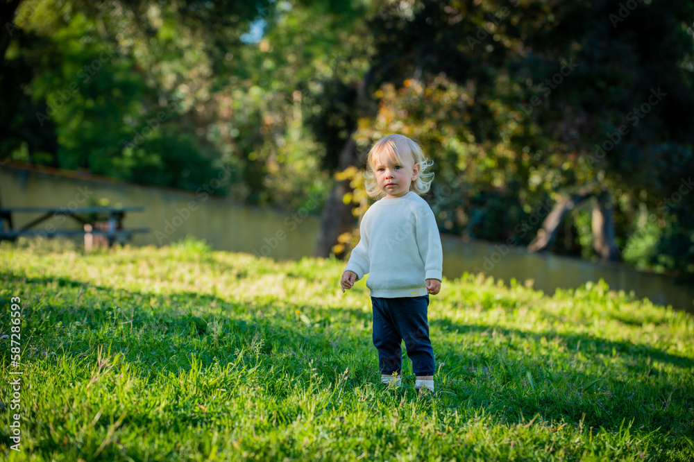 Cute toddler enjoying a bright day in a park while walking on the grass. Adorable toddler standing on the grass in a park on a sunny day. Cute infant alone on the grass and facing the camera.