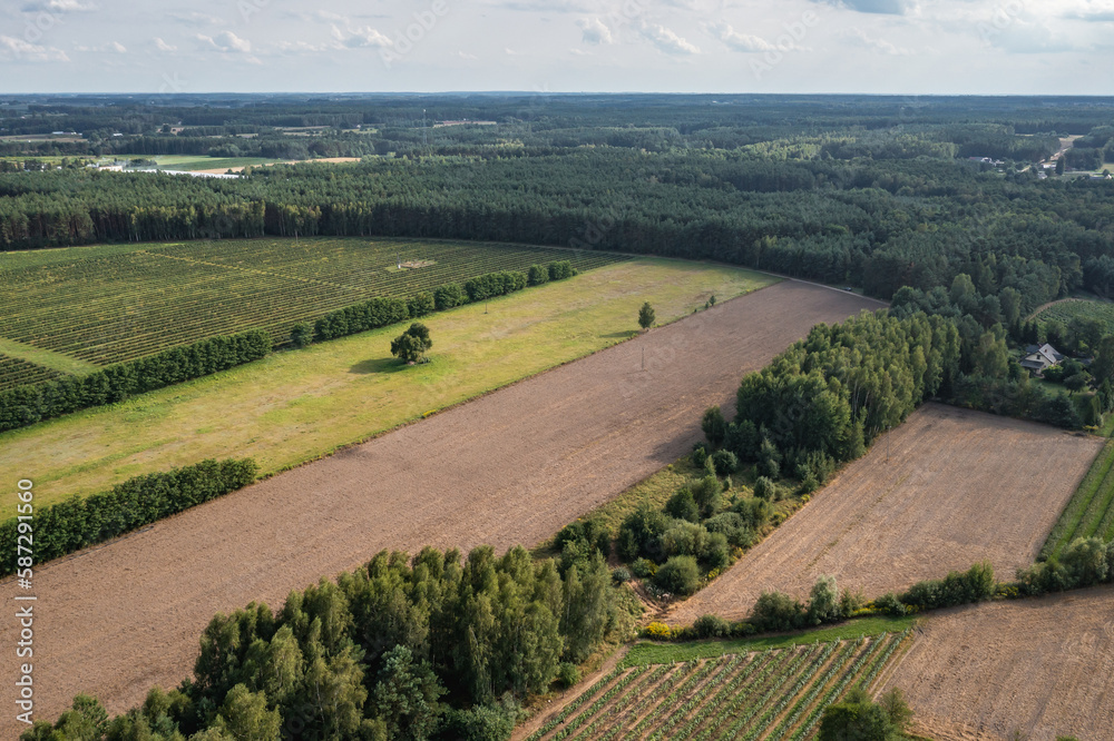 Drone photo of fields and vineyards in Dworzno, Zyrardow County in Poland