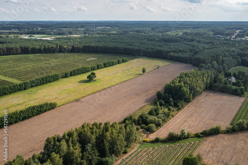 Drone photo of fields and vineyards in Dworzno, Zyrardow County in Poland
