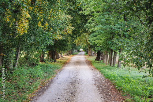 Country road near Mszczonow, Zyrardow County, Poland photo