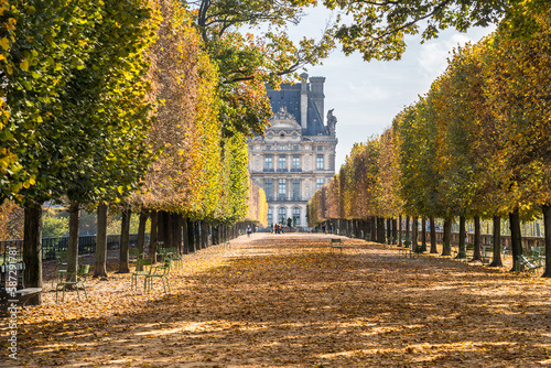 Autumn in Paris Louvre Museum, France