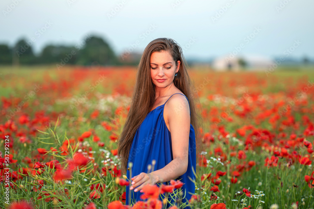 portrait of elegant young woman in poppy field in evening sunlight portrait of elegant young woman in poppy field in evening sunlight