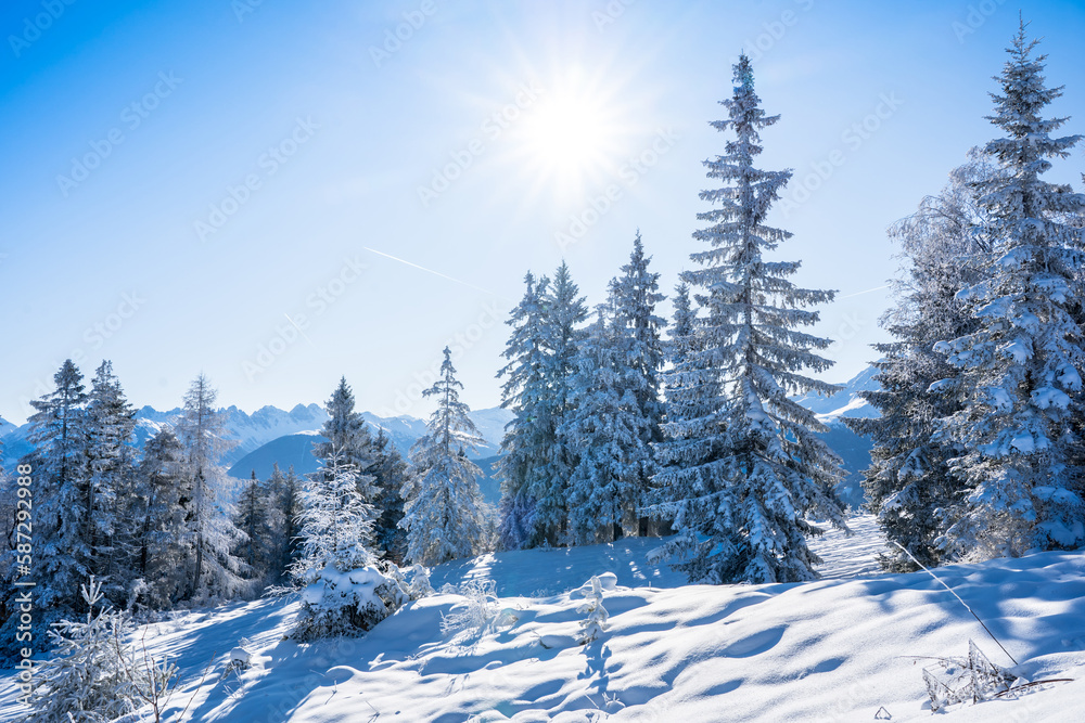 Winter forest in Seefeld, Austria Winter forest in Seefeld, Austria