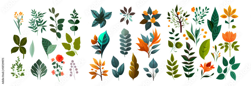 set vector illustration of flower green leaves elements collection isolated