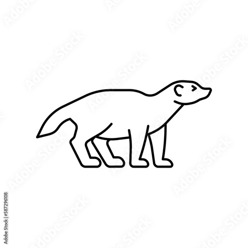 Honey Badger icon. High quality black vector illustration.