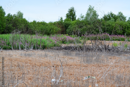 Lifeless land near the Chemical Plant in Gomel, Belarus