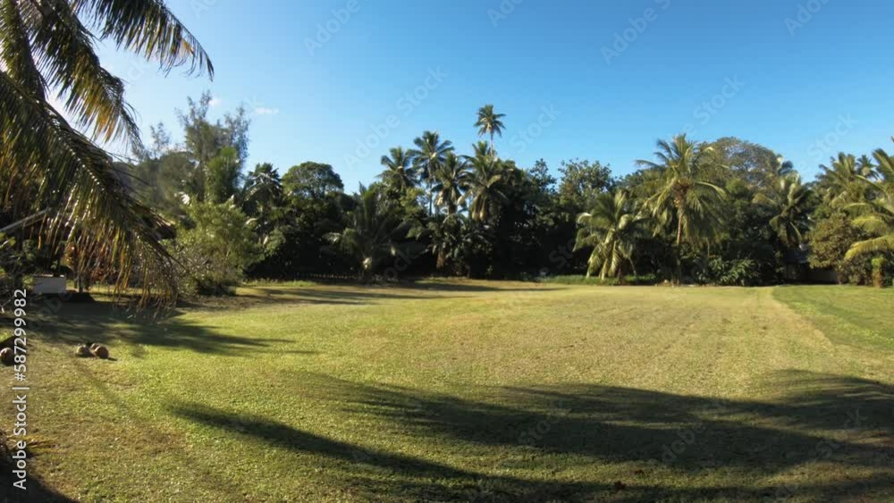 still view of a decent size piece of perfected mowed weeded looking grass land lawn surround by coconut trees and blue sky during sunshine day good weather with shadow in foreground still view of a decent size piece of perfected mowed weeded looking grass land lawn surround by coconut trees and blue sky during sunshine day good weather with shadow in foreground