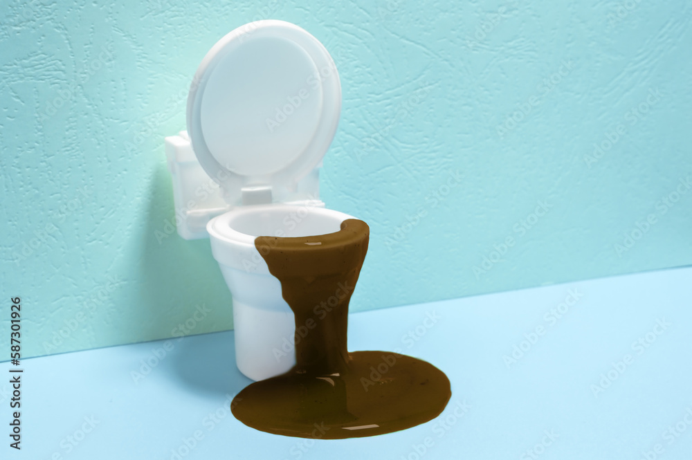 Clogging of the toilet. The toilet is overflowing. The problem with the