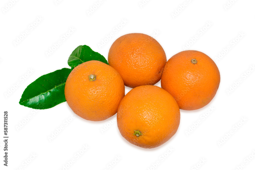 Ripe Orange fruits isolated on white background Ripe Orange fruits isolated on white background
