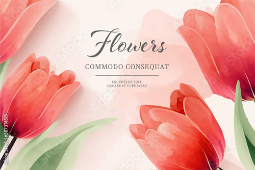 Frame decorated with flowers, tulips for women's day, March 8, mother's day, Feliz dia de la madre, vector watercolor style