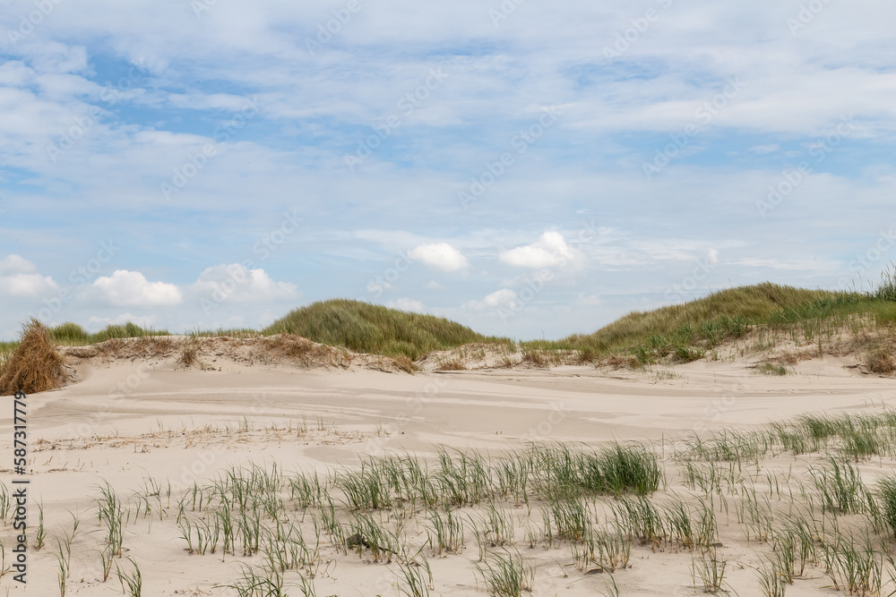 Dune landscape in St. Peter-Ording, North Friesland, Schleswig-Holstein, Germany, Europe