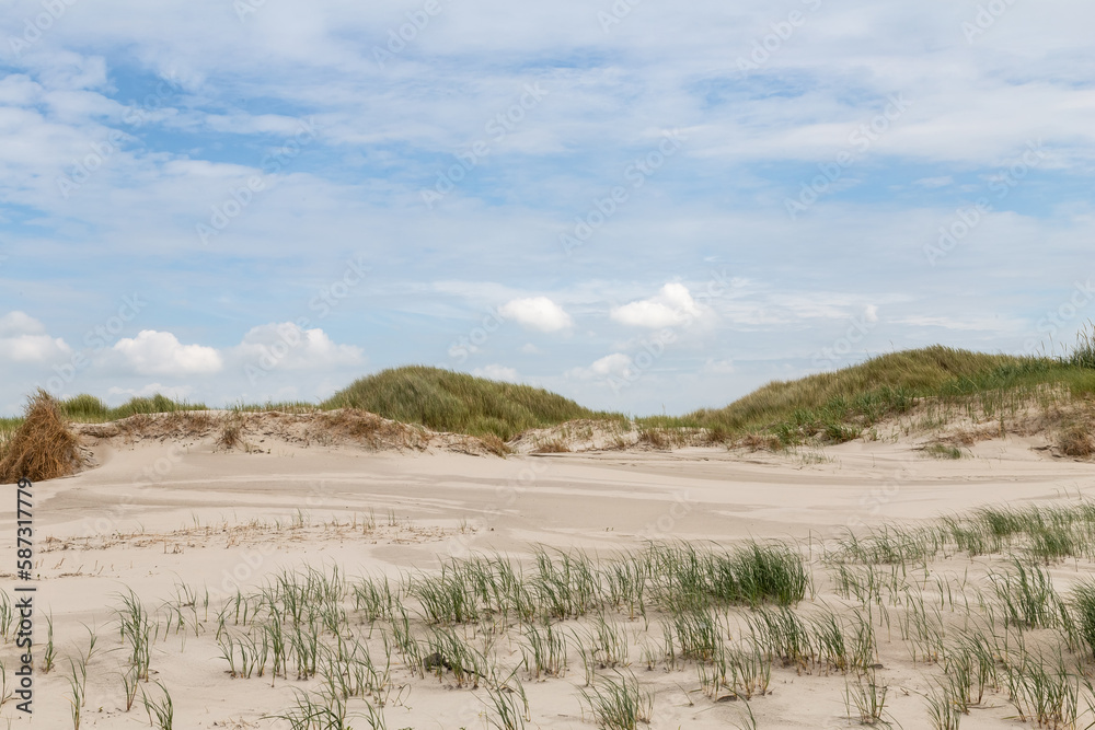 Dune landscape in St. Peter-Ording, North Friesland, Schleswig-Holstein, Germany, Europe Dune landscape in St. Peter-Ording, North Friesland, Schleswig-Holstein, Germany, Europe