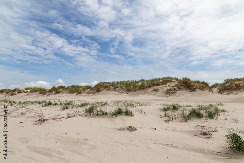 Dune landscape in St. Peter-Ording, North Friesland, Schleswig-Holstein, Germany, Europe Dune landscape in St. Peter-Ording, North Friesland, Schleswig-Holstein, Germany, Europe
