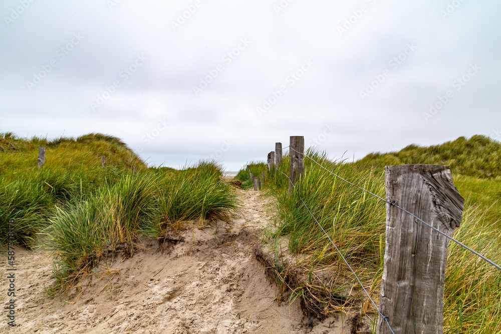 Dune landscape overlooking a beach in St. Peter-Ording, North Friesland, Schleswig-Holstein, Germany, Europe