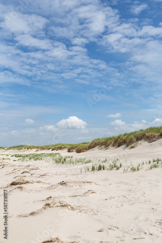 Dune landscape  in St. Peter-Ording, North Friesland, Schleswig-Holstein, Germany, Europe