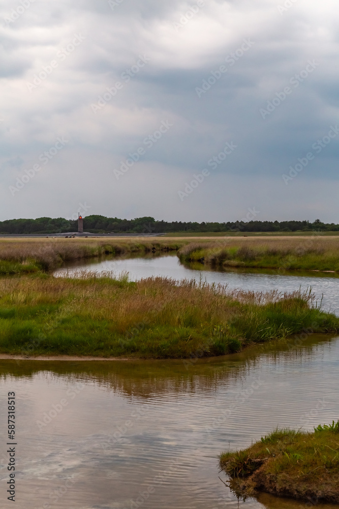 Salt meadow in St. Peter-Ording, North Friesland, Schleswig-Holstein, Germany, Europe