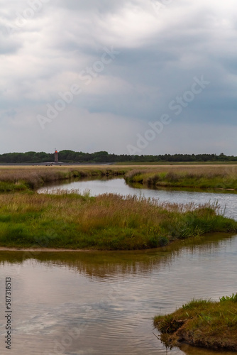 Salt meadow in St. Peter-Ording, North Friesland, Schleswig-Holstein, Germany, Europe © electricmango