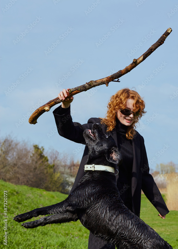 a happy woman plays in the park with her Labrador retriever dog