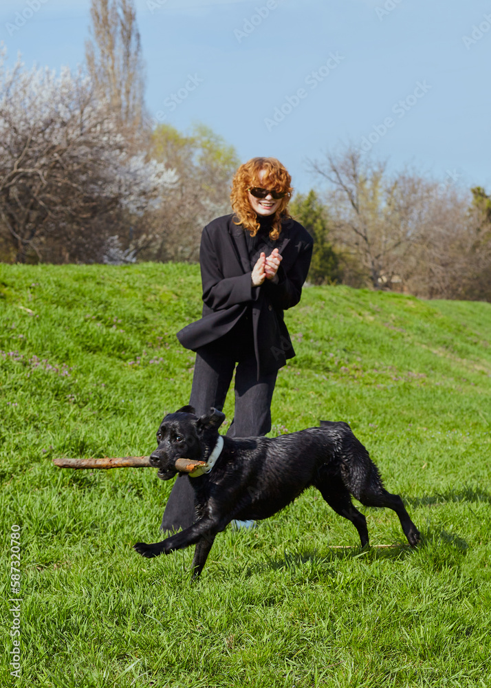 a happy woman plays in the park with her Labrador retriever dog a happy woman plays in the park with her Labrador retriever dog