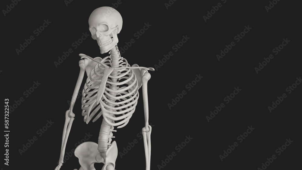 skeleton posing 3d render illustration with black background skeleton posing 3d render illustration with black background