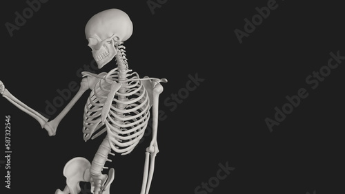 skeleton posing 3d render illustration with black background