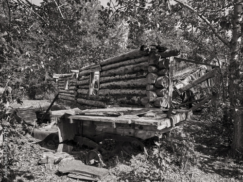 Remains of an abandoned miners cabin in Silver City on the shores of Kluane Lake photo