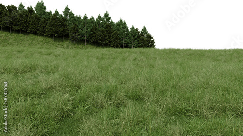 Realistic grass hill and forest tree line. 3d rendering of isolated objects.