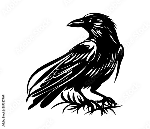 Black birds Raven, crow, rook or jackdaw. Vector illustration in retro style.
